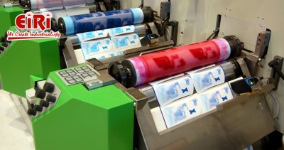 The Flexographic Printing Labels Business: Market Overview and Future Prospects