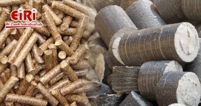 The Future of Biomass Briquettes Manufacturing: Opportunities and Growth Prospects