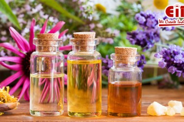 Essential Oils Industry: Everything You Need to Know