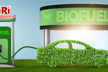 The Importance of Ethanol as a Renewable Fuel Source