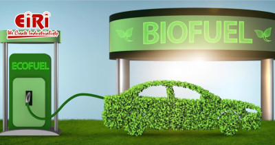 The Importance of Ethanol as a Renewable Fuel Source