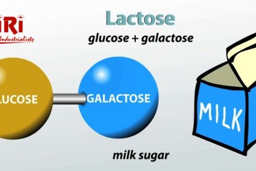 The Lactose Market: Future Growth and Growth Prospects