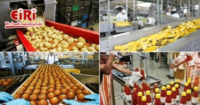 Top 10 Most Profitable Business Ideas in Food Processing Industry with Rising Opportunities