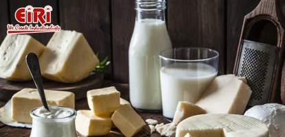 Top Business Ideas in the Dairy Industry