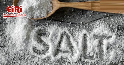 Top Purified Salt Production from Sodium Chloride (Raw)