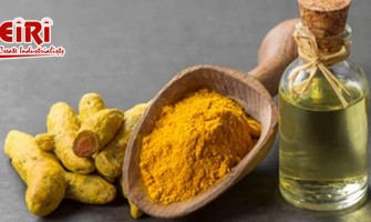 Turmeric-Based Business Opportunities: Golden Prospects