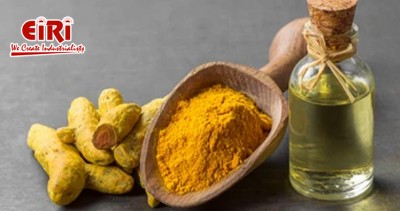 Turmeric-Based Business Opportunities: Golden Prospects