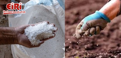 Urea Fertilizer Manufacturing: A Pillar of Modern Agriculture